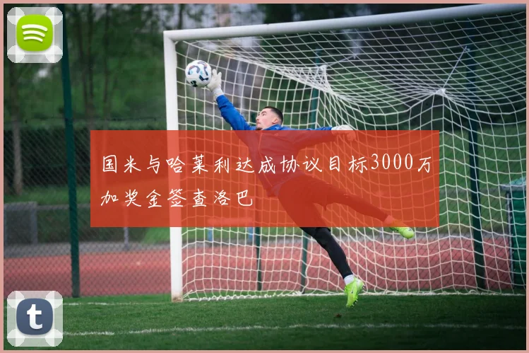 国米与哈莱利达成协议目标3000万加奖金签查洛巴