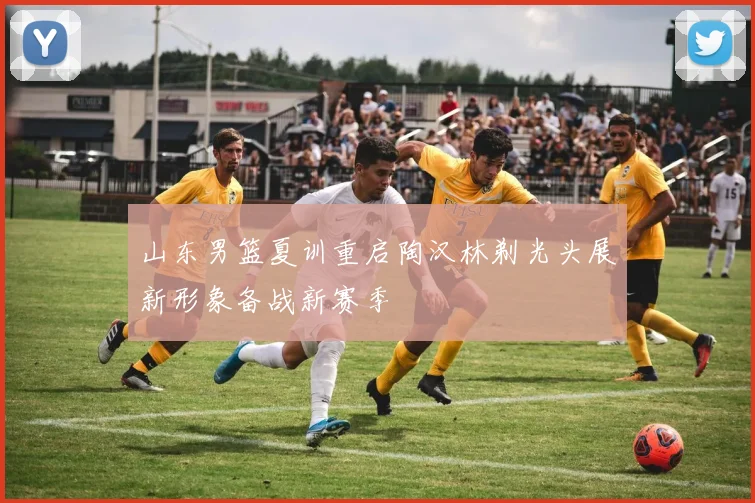 山东男篮夏训重启陶汉林剃光头展新形象备战新赛季