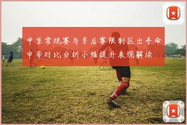 申京常规赛与季后赛限制区出手命中率对比分析小幅提升表现解读
